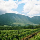 Hemel-en-Aarde Valley